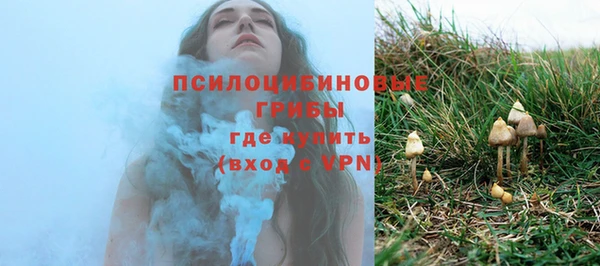 ПСИЛОЦИБИНОВЫЕ ГРИБЫ Алексеевка