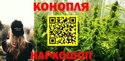 трава Кудрово